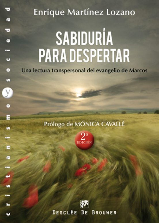 Sabiduria Para Despertar: Una Lectura Transpersonal Del Evangelio De M