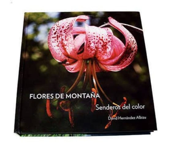 Flores de Montaña: Senderos de Color