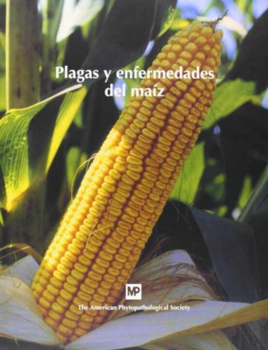 Plagas Y Enfermedades Del Maiz