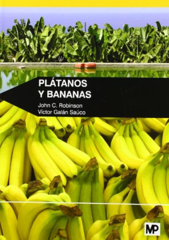 Plátanos Y Bananas