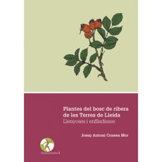 Plantes del bosc de ribera de les Terres de Lleida