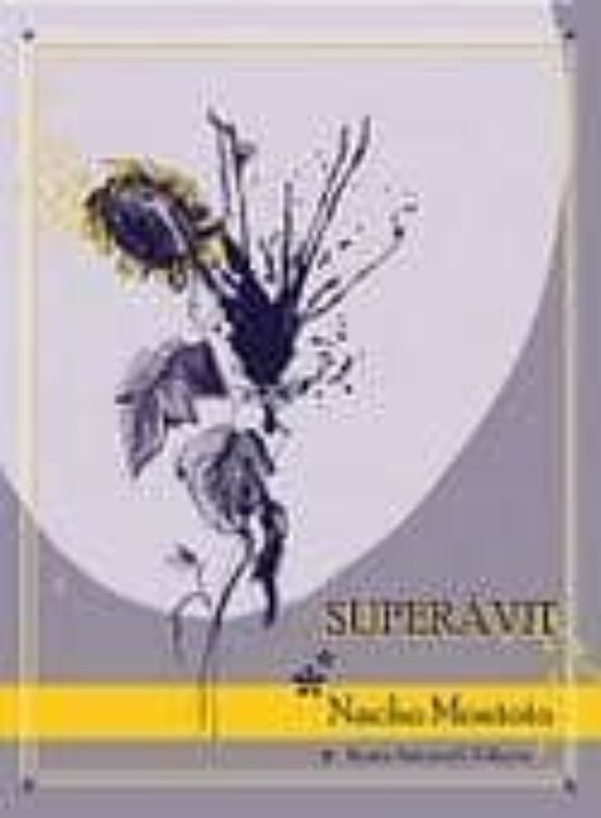 Superavit
