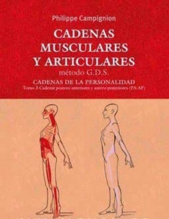 Cadenas Musculares Y Articulares
