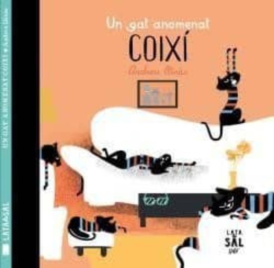 Un Gat Anomenat Coixi