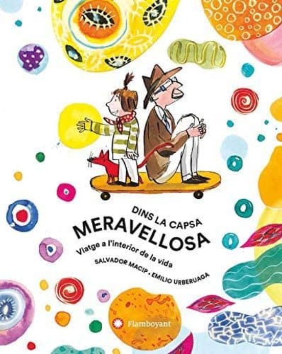 Dins La Capsa Meravellosa. Viatge A L Interior De La Vida
