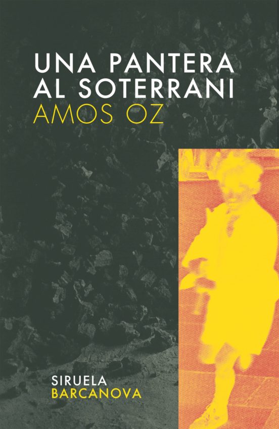 Una Pantera Al Soterrani