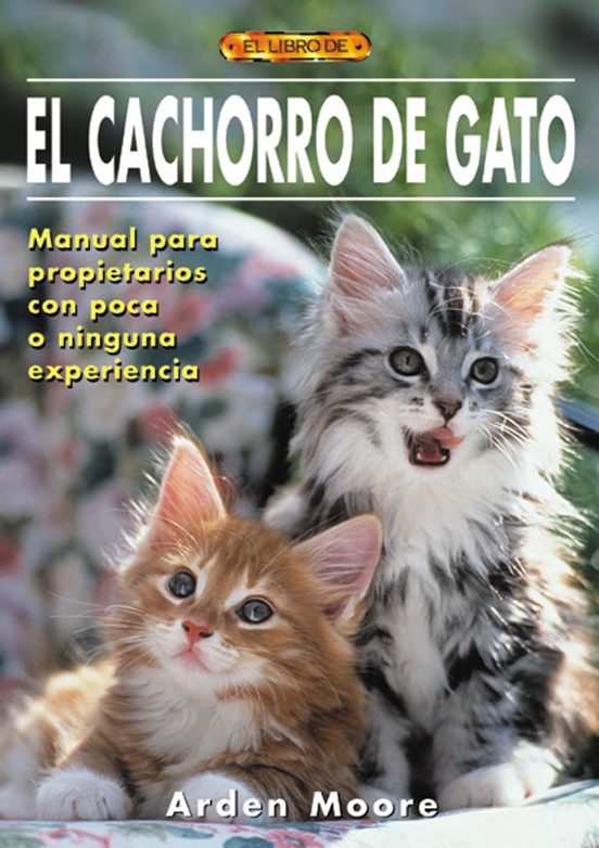 El Cachorro De Gato