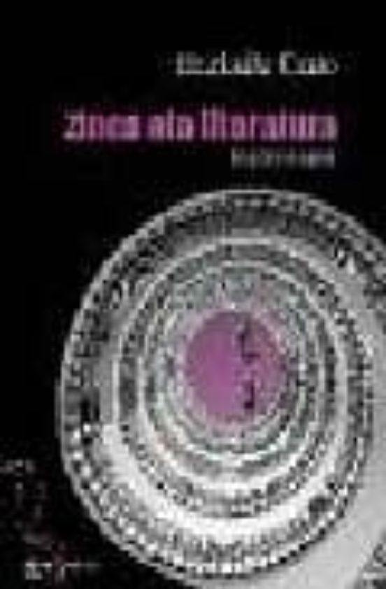 Zinea Eta Literatura: Begiaren Ajeak