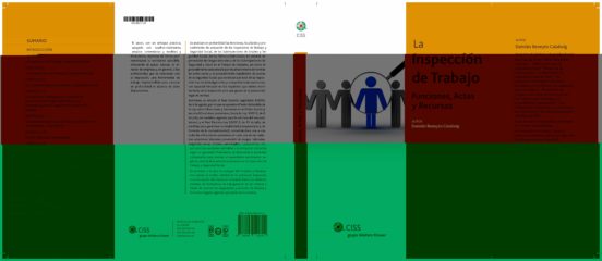 La Inspección De Trabajo