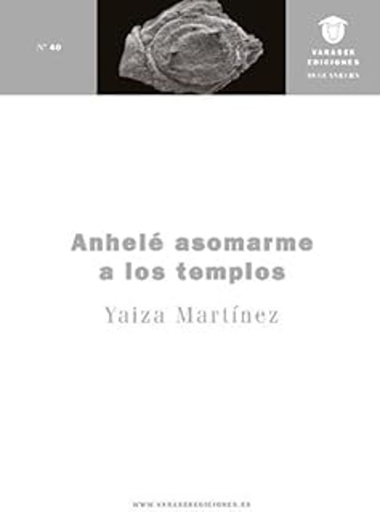 Anhelé asomarme a los templos