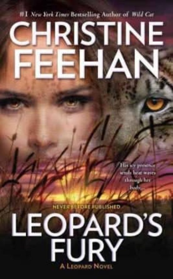 Leopard S Fury