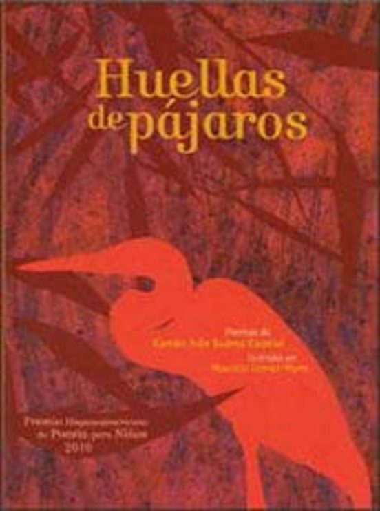 Huellas De Pajaros