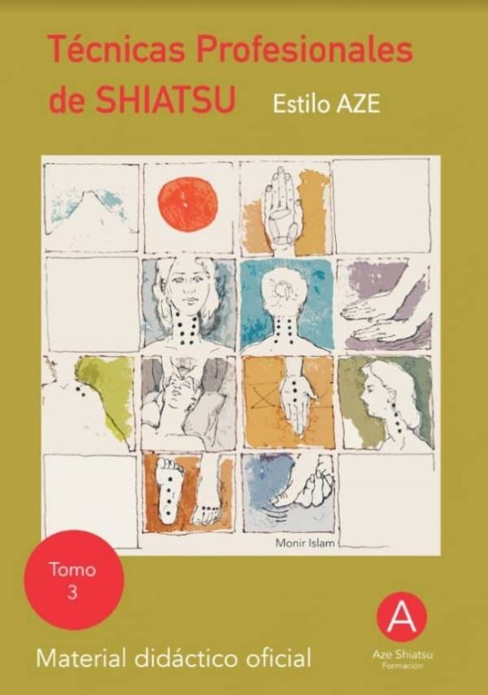 Técnicas Profesionales De Shiatsu