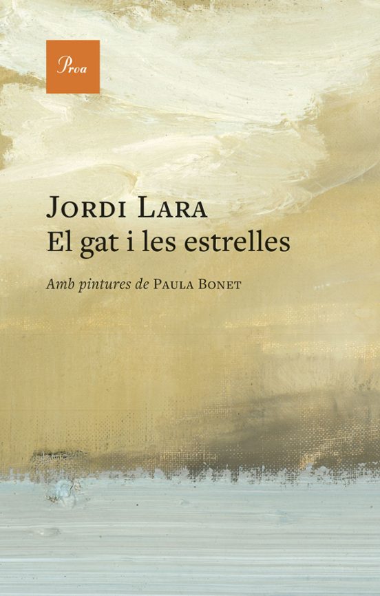 El gat i les estrelles