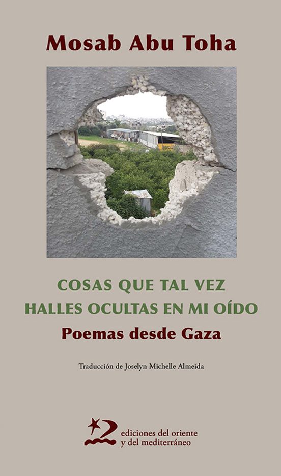 Cosas que tal vez halles ocultas en mi oído