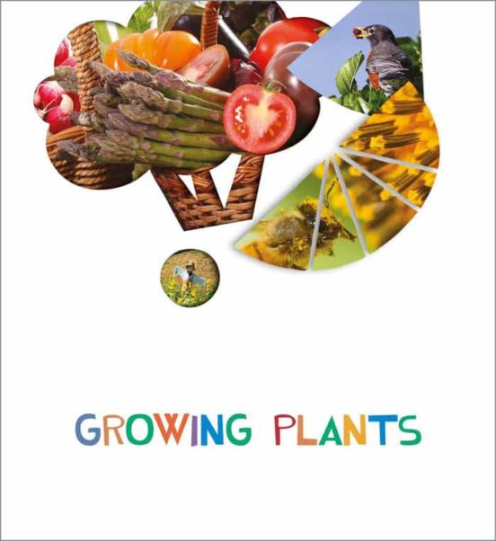 Growing Plants 5 Years Proyectos ¿lo Ves? 2020