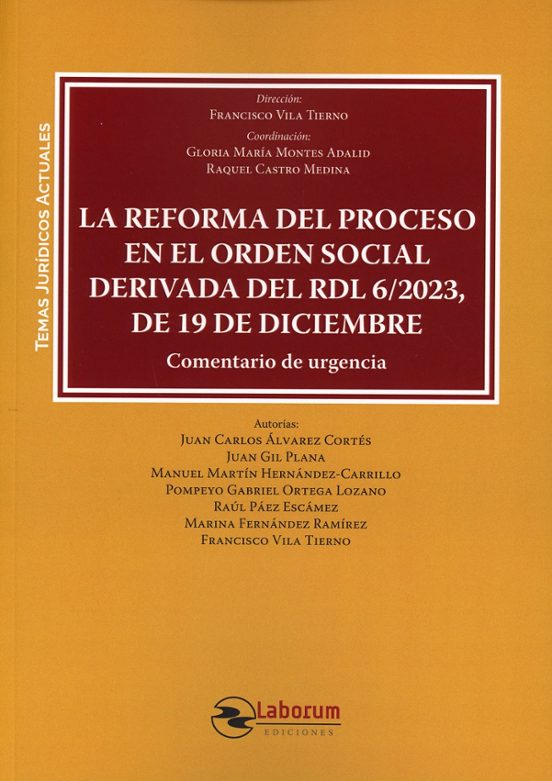 Reforma Del Proceso En El Orden Social Derivada Del Rdl 6/2023 De 19 D