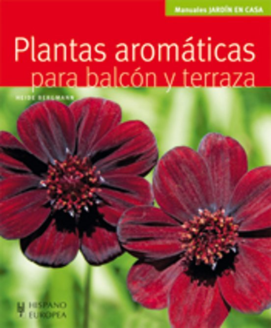 Plantas Aromaticas Para Balcon Y Terraza
