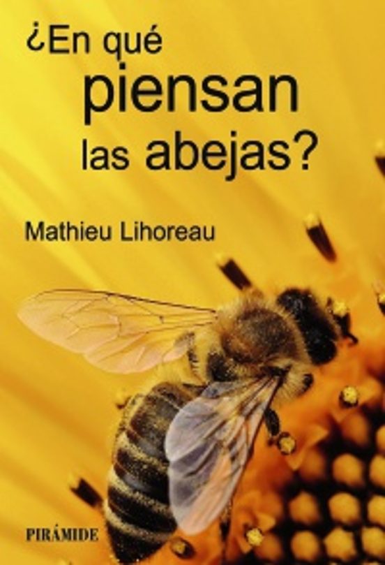 ¿En Qué Piensan Las Abejas?