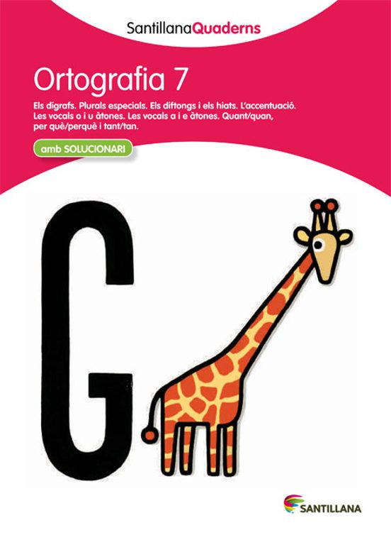 Ortografia 7