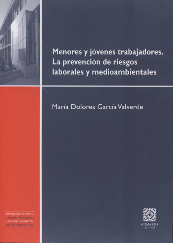 Menores Y Jovenes Trabajadores: La Prevencion De Riesgos Laborale S Y