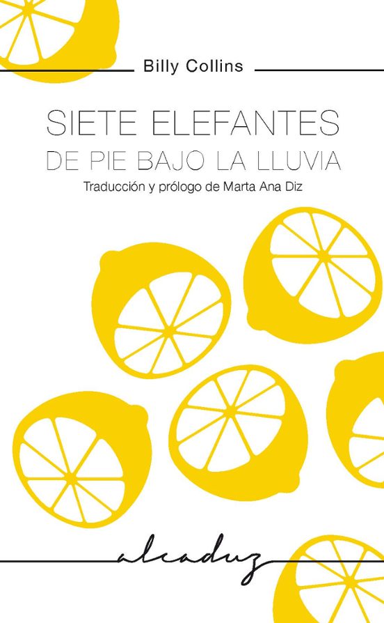Siete Elefantes De Pie Bajo La Lluvia