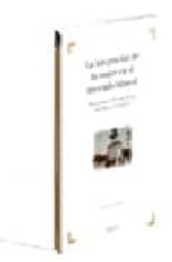La Integración De La Mujer En El Mercado Laboral