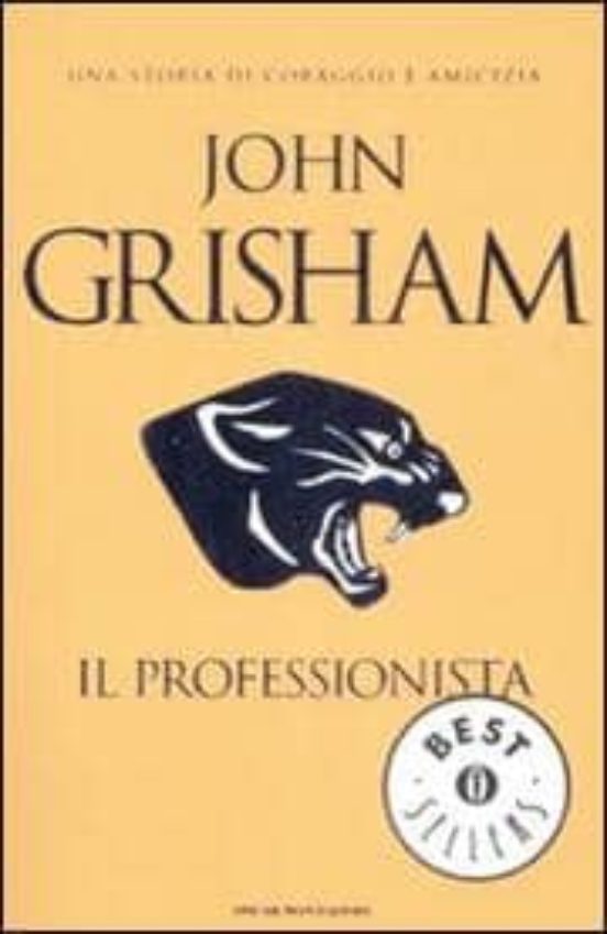 Il Professionista