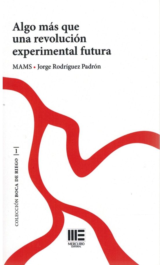 Algo Más Que una Revolución Experimental Futura