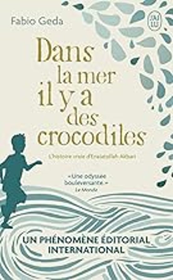 Dans La Mer Il Y A Des Crocodiles: L Histoire Vraie D Enaiatollah Akba