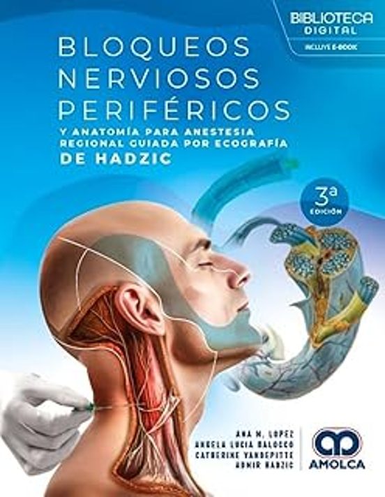 Bloqueos Nerviosos Periféricos Y Anatomía Para Anestesia Regional Guia