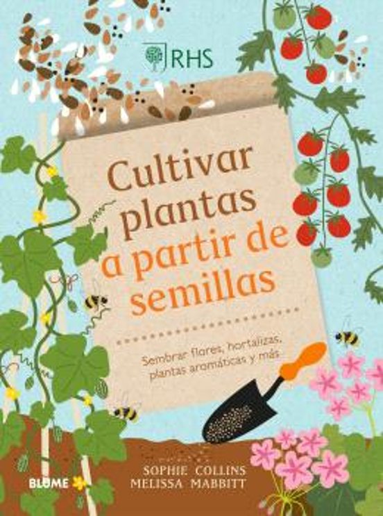 Cultivar Plantas A Partir De Semillas