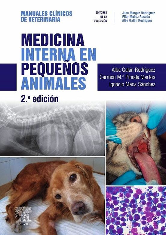 Medicina Interna En Pequeños Animales