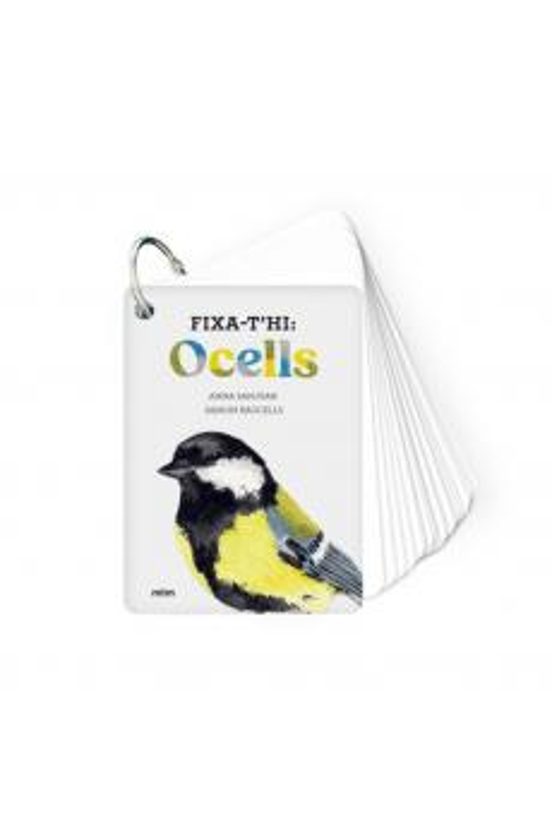 Fixa-t'hi: Ocells