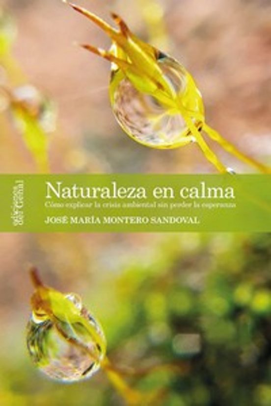 Naturaleza En La Calma