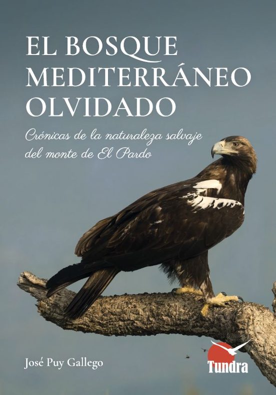 El Bosque Mediterraneo Olvidado