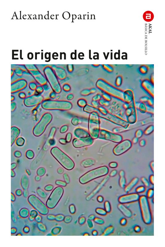 El Origen De La Vida