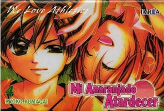 Mi Anaranjado Atardecer Nº 4