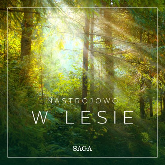 Nastrojowo - W Lesie
