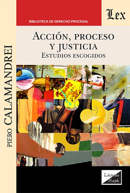 Accion Proceso Y Justicia