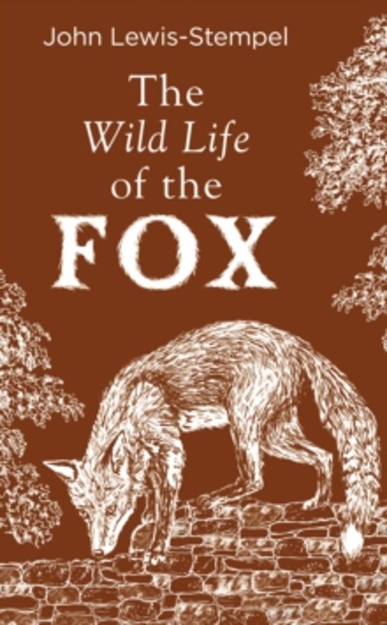 The Wild Life Of The Fox