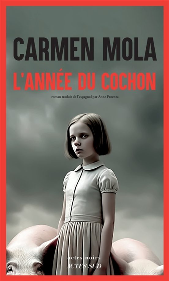 L Année Du Cochon