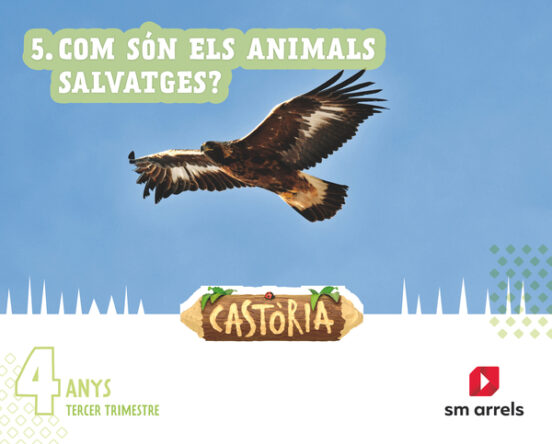 Castoria 4 Años Tercer Trimestre Projecte Castoria Comunidad Valencian