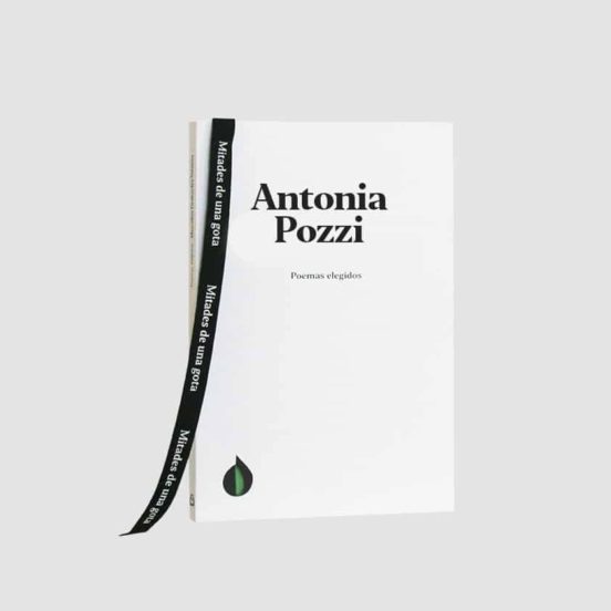 Poemas Elegidos De Antonia Pozzi