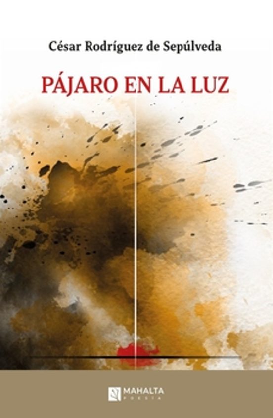 Pájaro en la luz