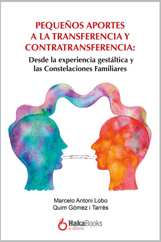 Pequeños Aportes A La Transferencia Y La Contratransferencia