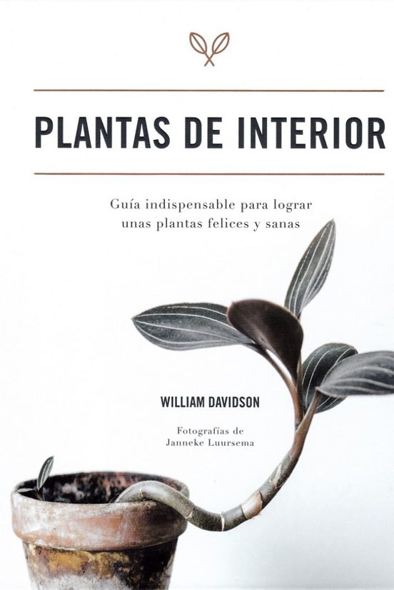 Plantas De Interior: Guia Indispensable Para Lograr Unas Plantas Felic