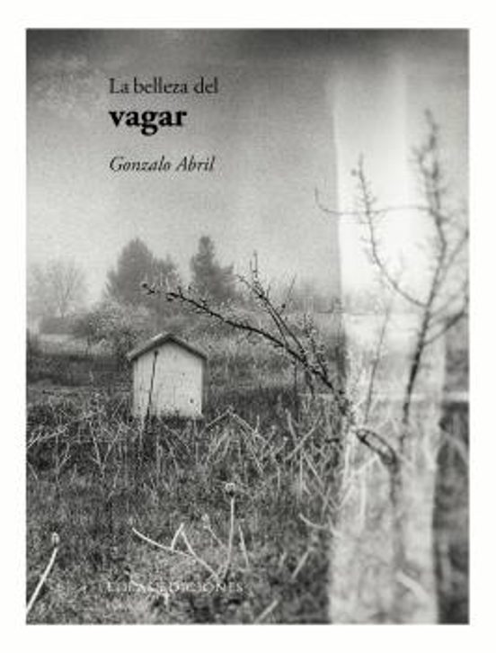 La Belleza Del Vagar