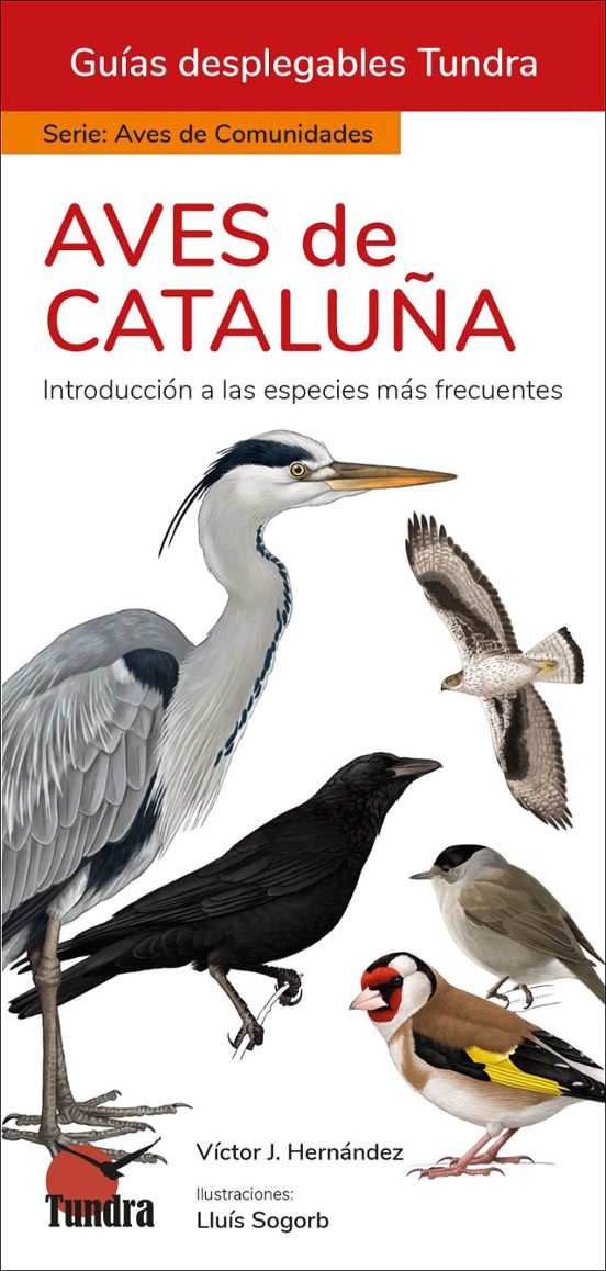 Aves De Cataluña - Guias Desplegables Tundra