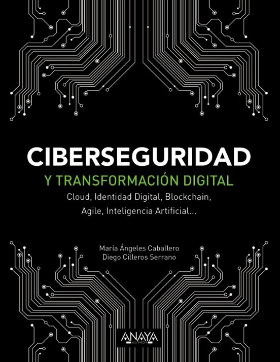 Ciberseguridad Y Transformación Digital